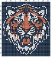 Detroit Tiger
